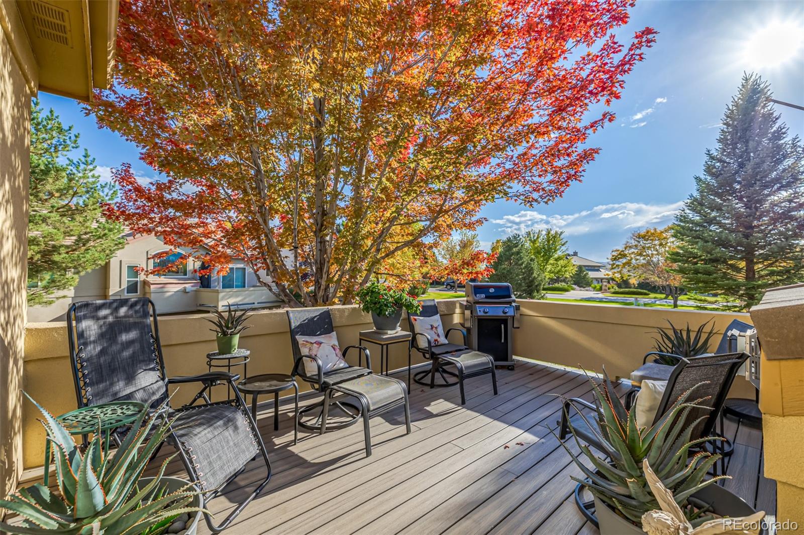 MLS Image #36 for 414  mariana pointe court,loveland, Colorado
