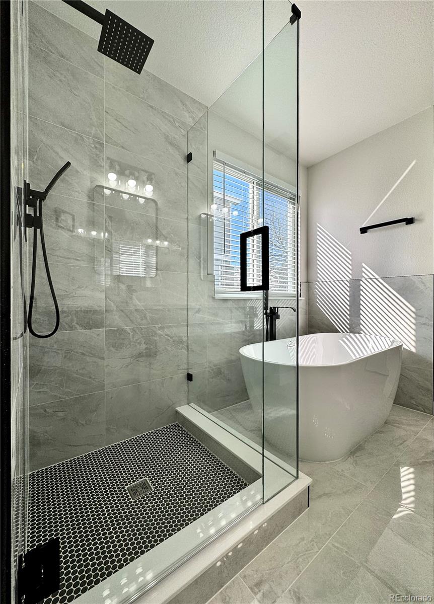 MLS Image #16 for 9668  salem court,highlands ranch, Colorado