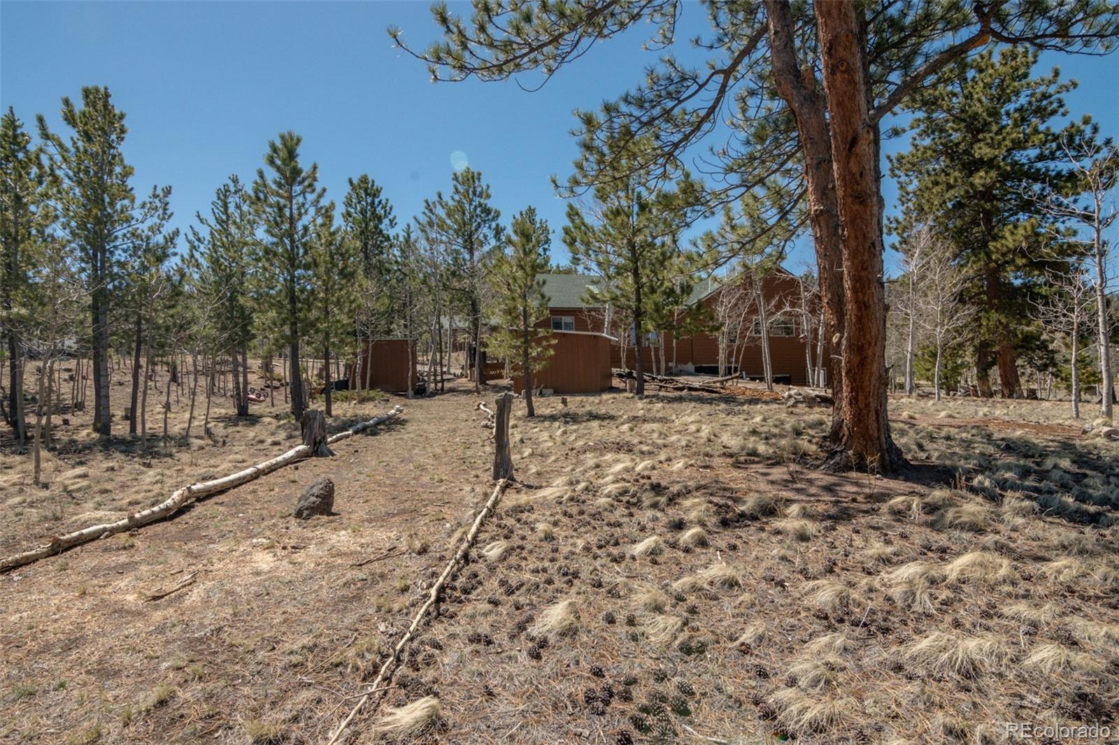 MLS Image #10 for 605  hacienda road,hartsel, Colorado
