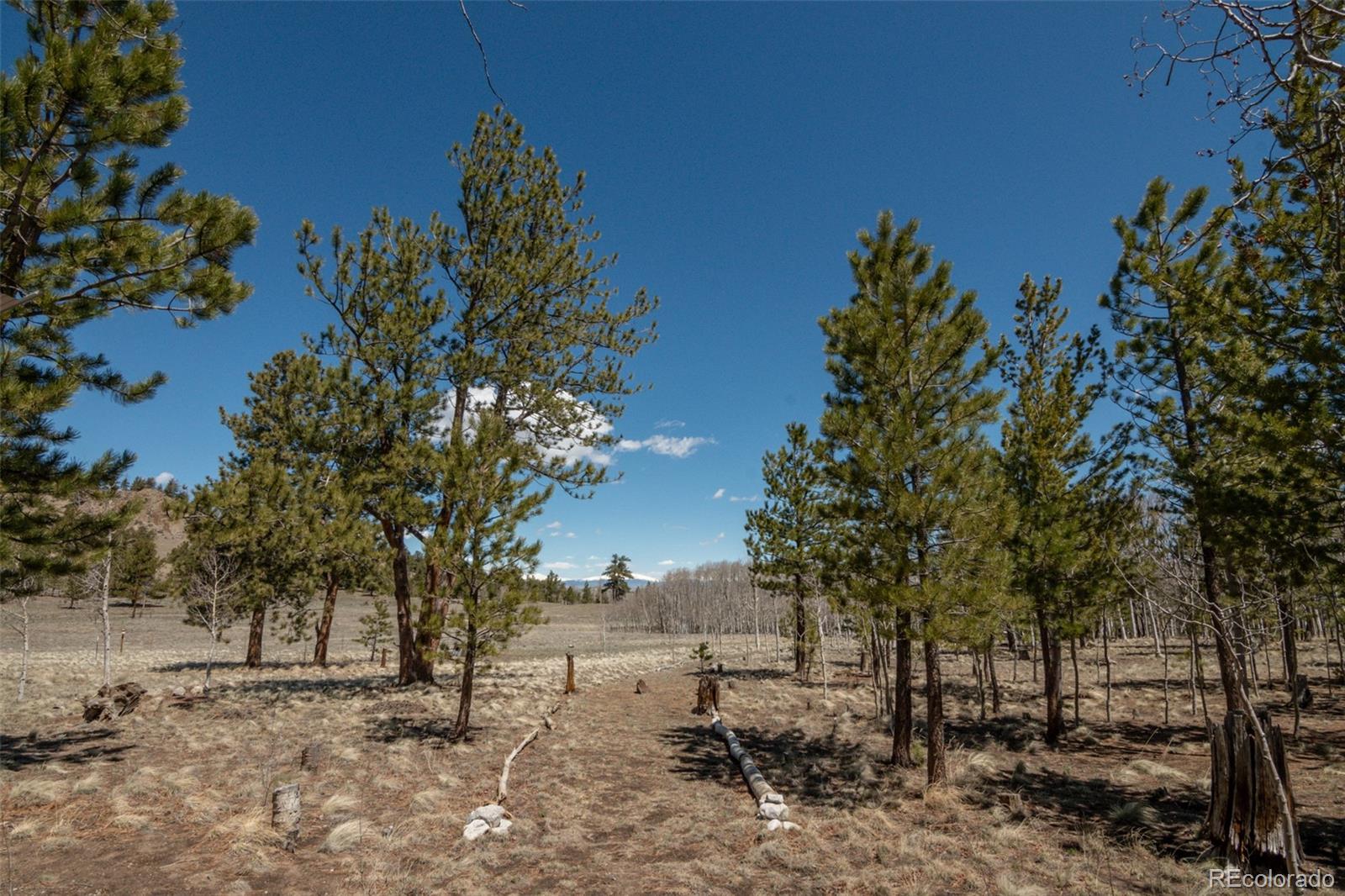 MLS Image #12 for 605  hacienda road,hartsel, Colorado