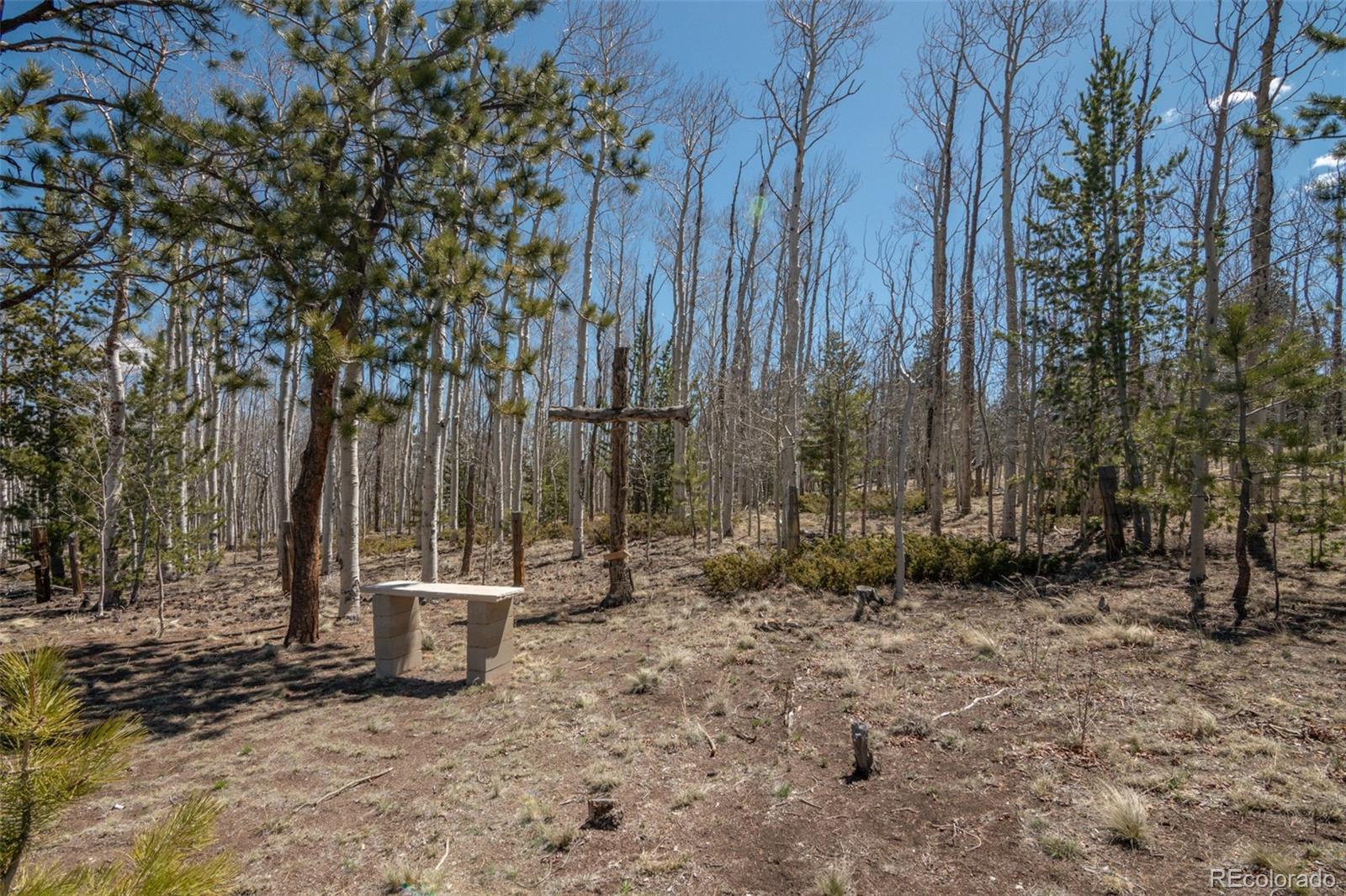 MLS Image #13 for 605  hacienda road,hartsel, Colorado