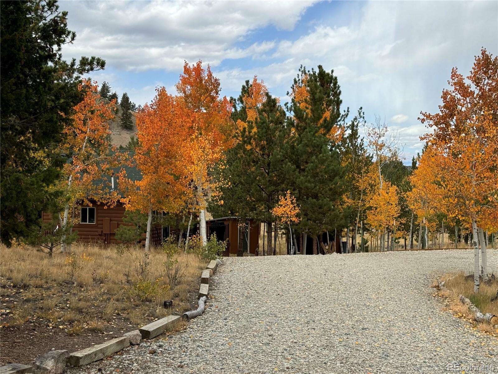 MLS Image #2 for 605  hacienda road,hartsel, Colorado