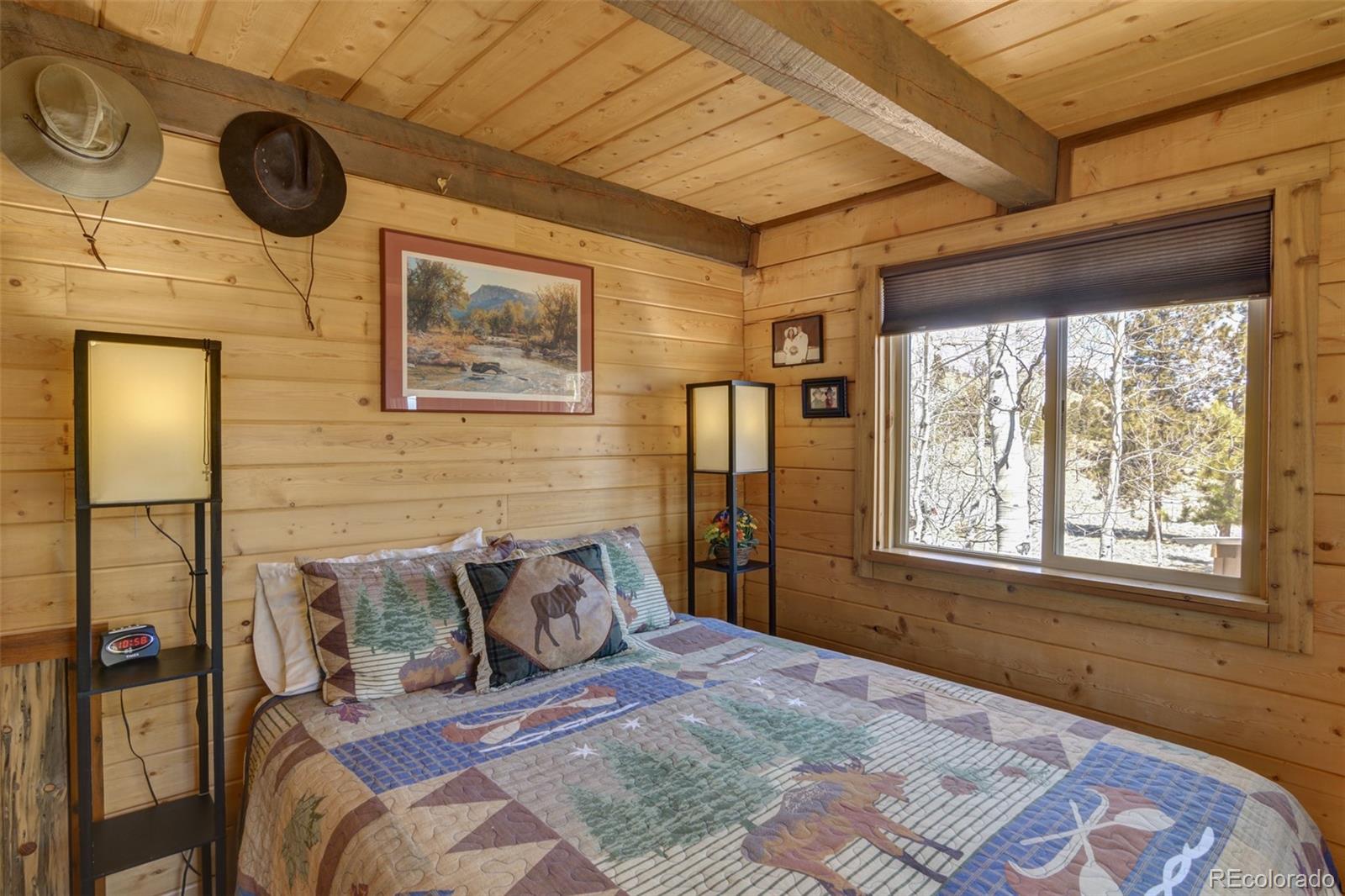 MLS Image #29 for 605  hacienda road,hartsel, Colorado