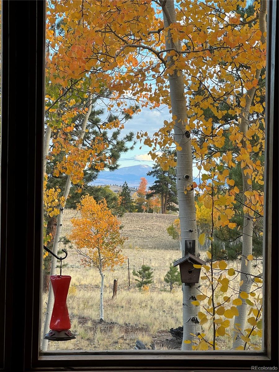 MLS Image #5 for 605  hacienda road,hartsel, Colorado