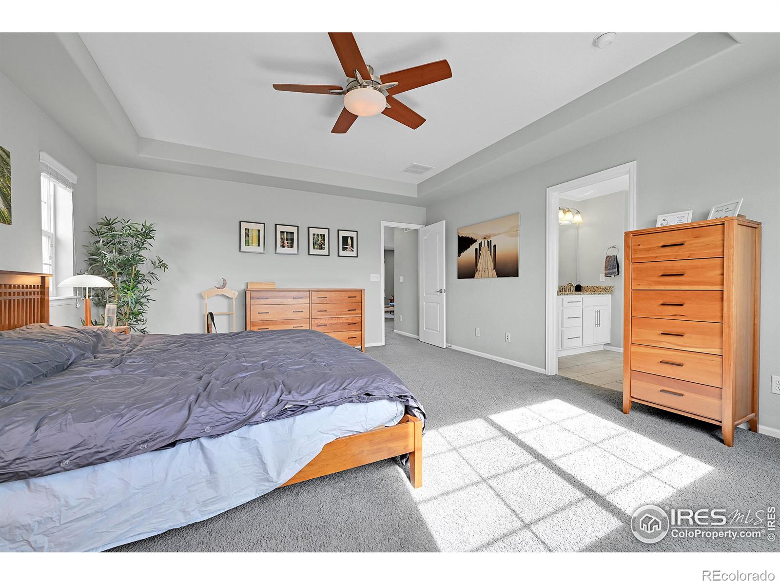 MLS Image #17 for 316  taurus drive,erie, Colorado