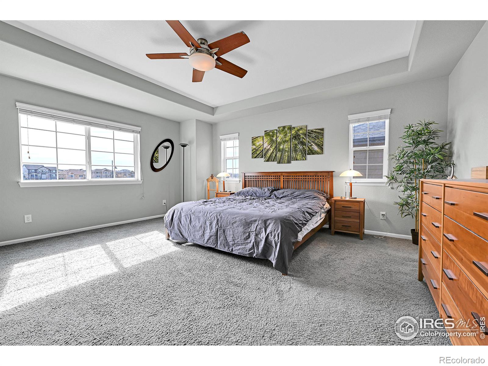 MLS Image #18 for 316  taurus drive,erie, Colorado