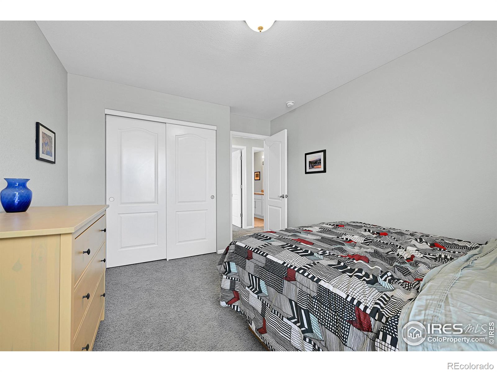MLS Image #21 for 316  taurus drive,erie, Colorado