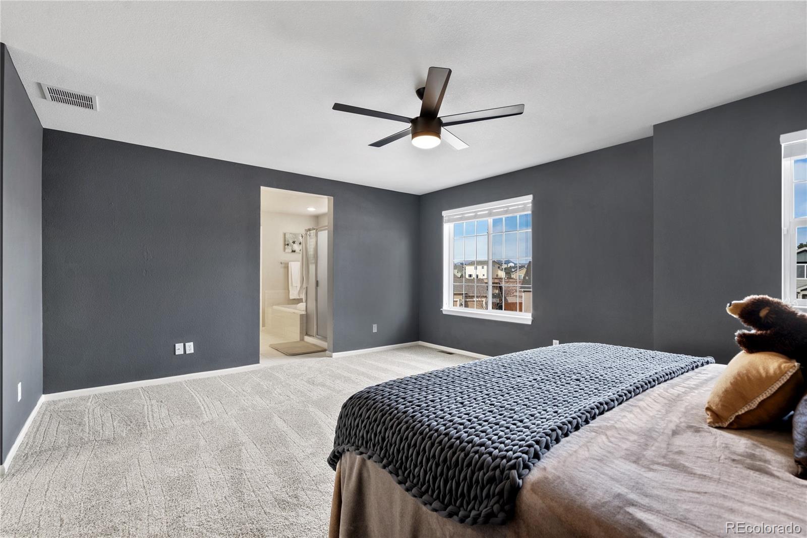 MLS Image #20 for 7147  red cardinal loop,colorado springs, Colorado