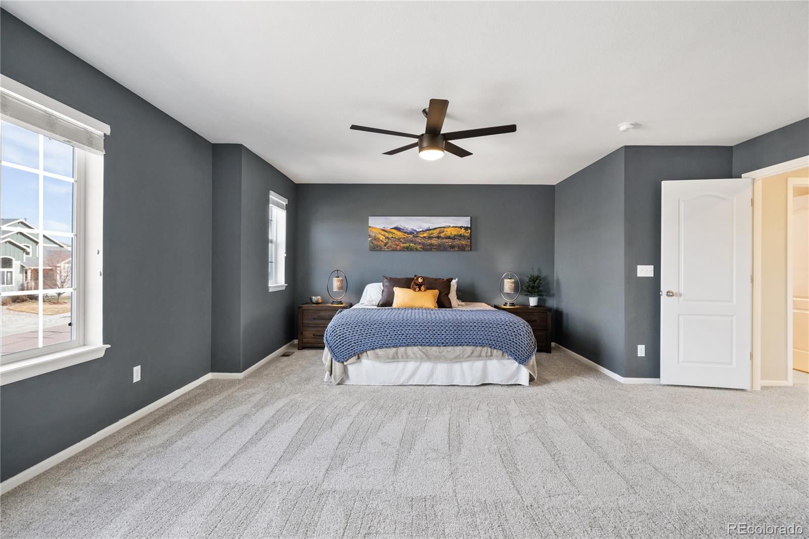 MLS Image #23 for 7147  red cardinal loop,colorado springs, Colorado
