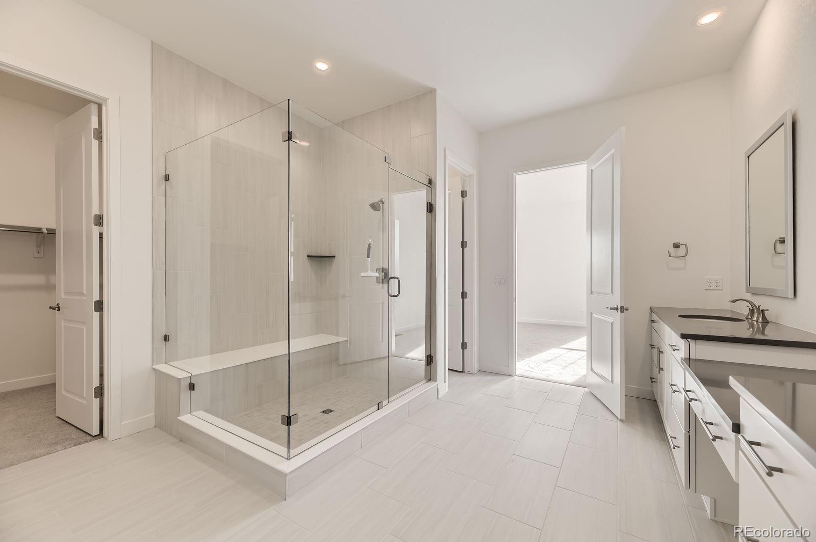 MLS Image #10 for 3953  treadway point,castle rock, Colorado