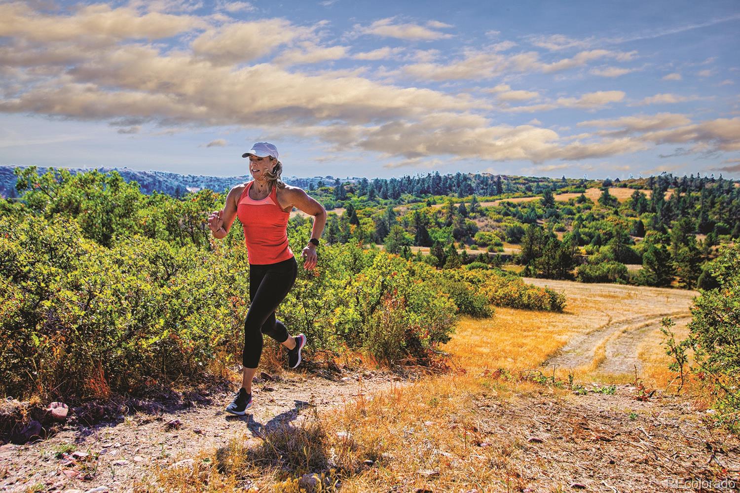 MLS Image #22 for 3953  treadway point,castle rock, Colorado