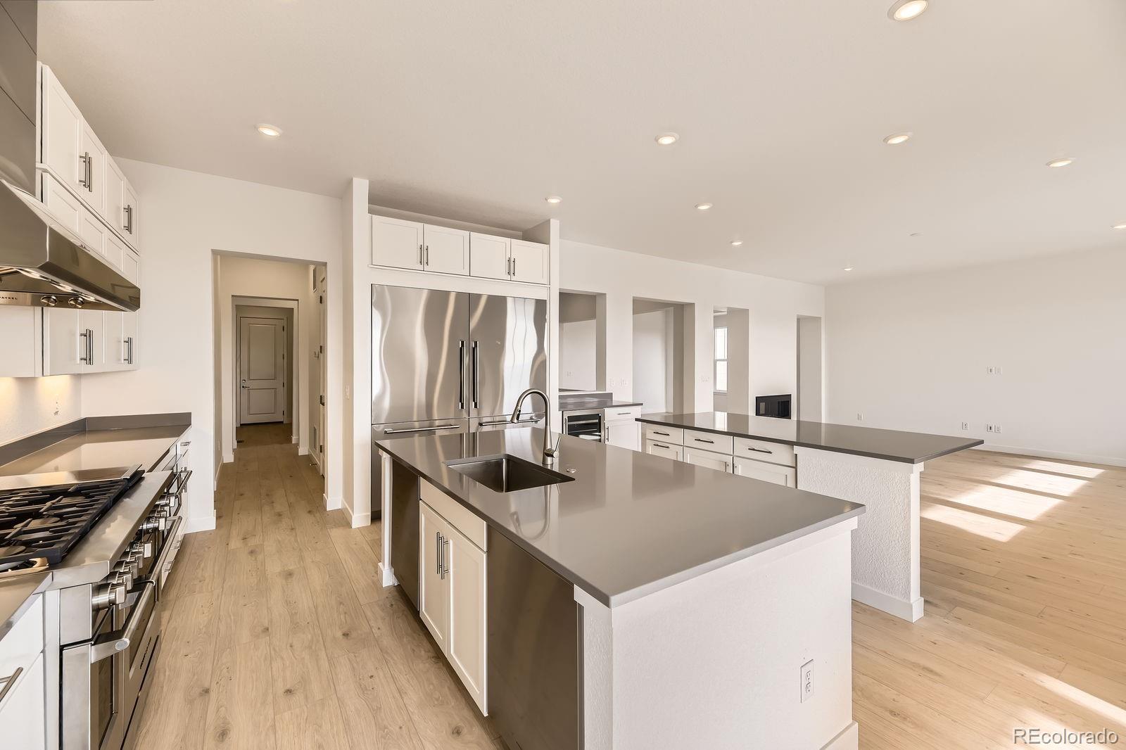 MLS Image #4 for 3953  treadway point,castle rock, Colorado