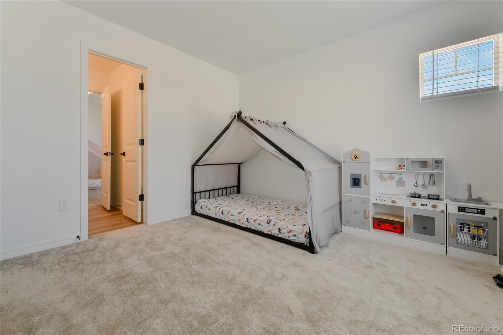MLS Image #21 for 9333  warrick street,colorado springs, Colorado