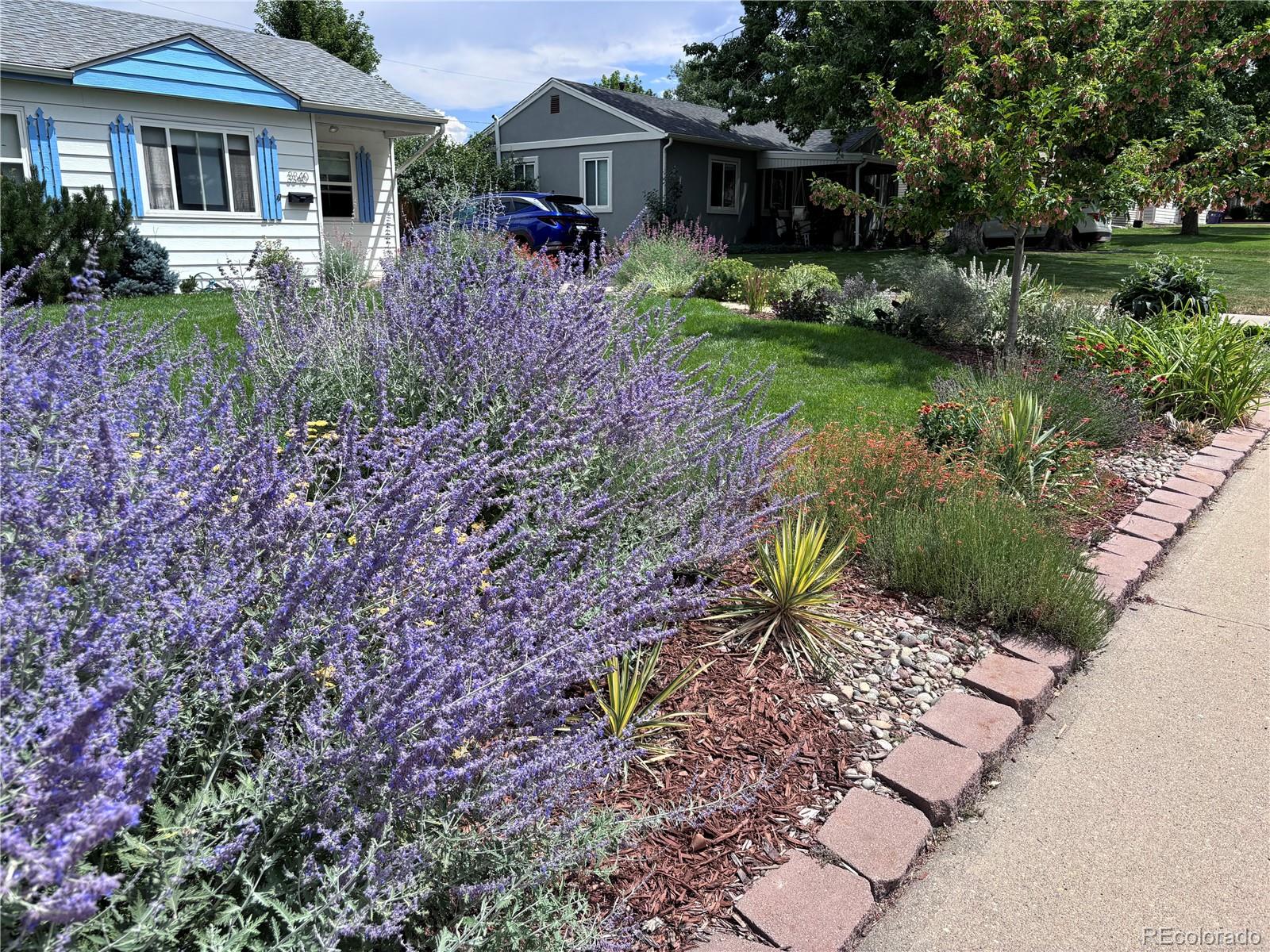 MLS Image #23 for 3340 s elm street,denver, Colorado