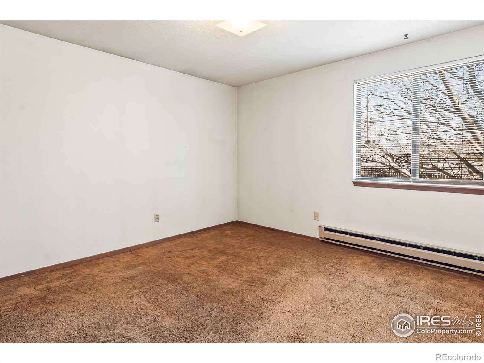 MLS Image #24 for 140  judson street,longmont, Colorado
