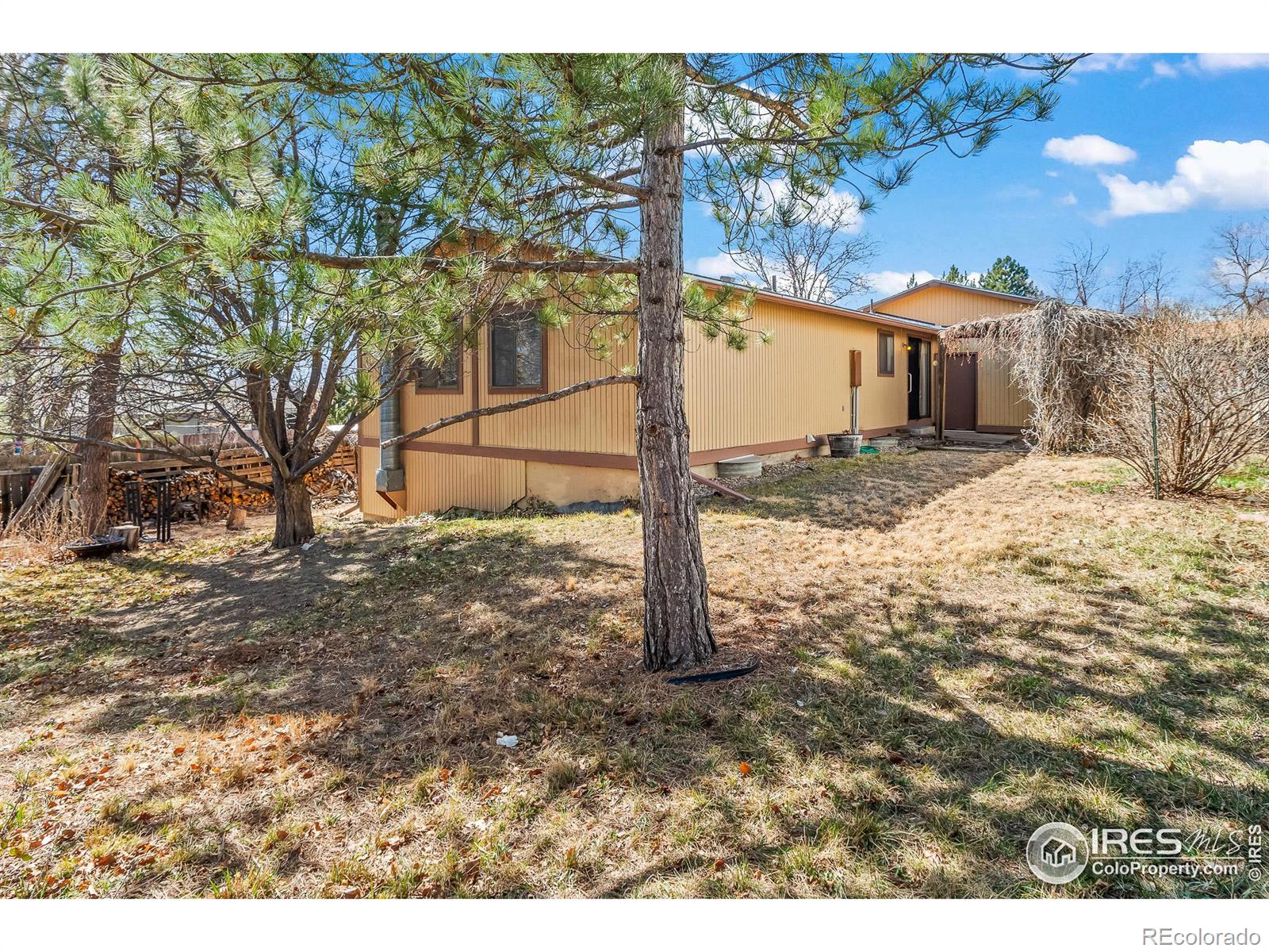 MLS Image #37 for 140  judson street,longmont, Colorado