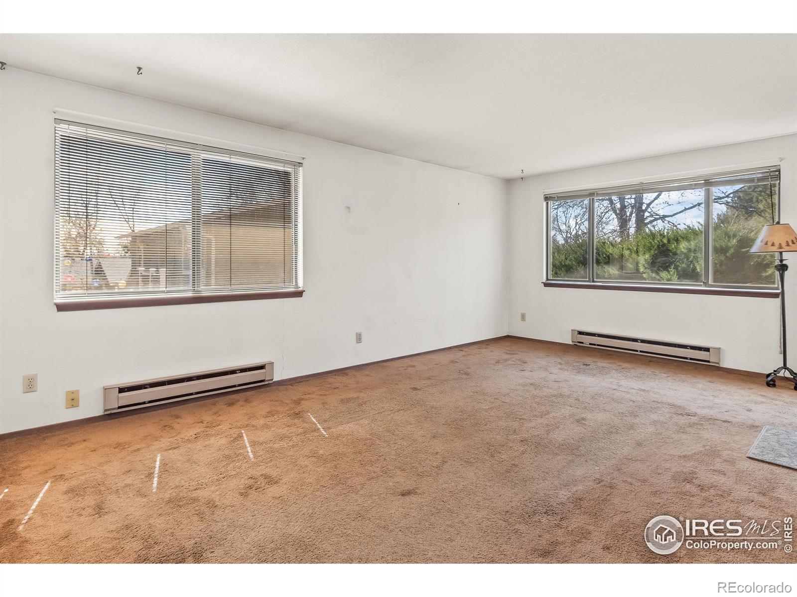 MLS Image #6 for 140  judson street,longmont, Colorado