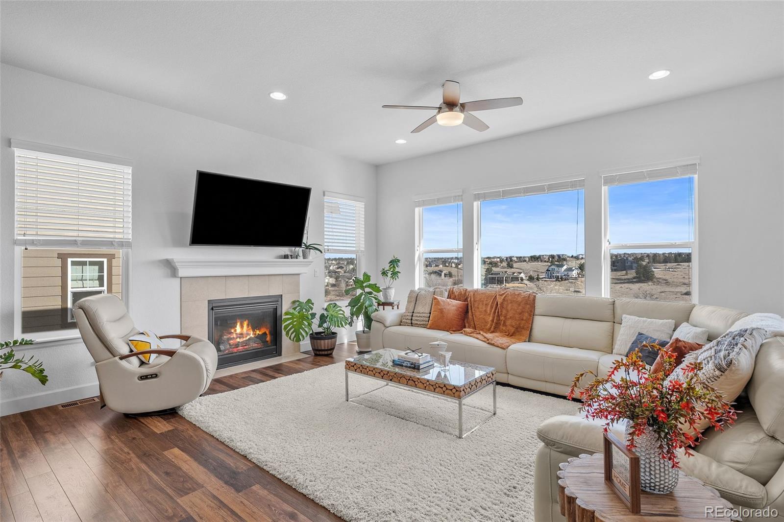 MLS Image #12 for 7814 s grand baker court,aurora, Colorado