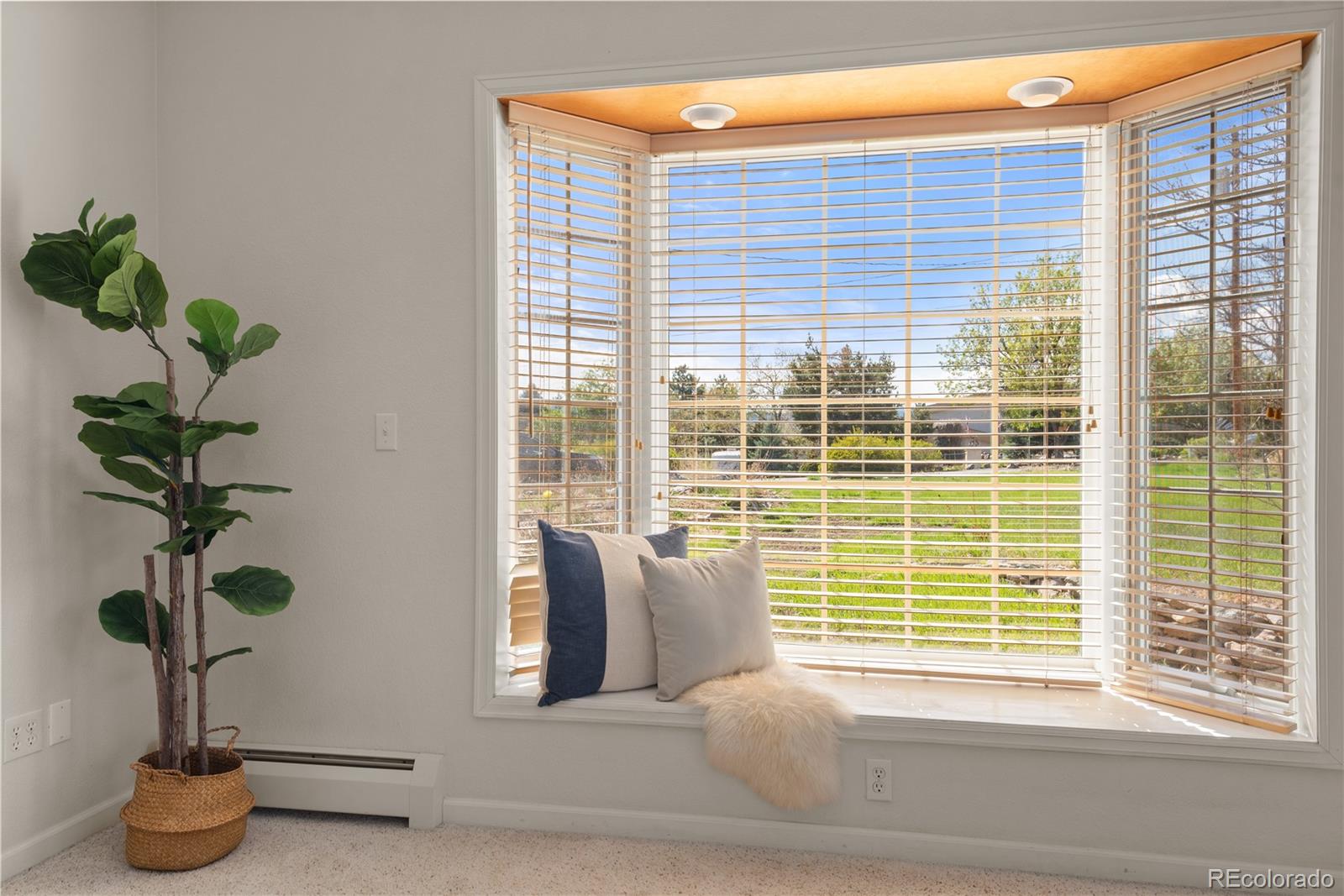 MLS Image #8 for 2020  routt street,lakewood, Colorado