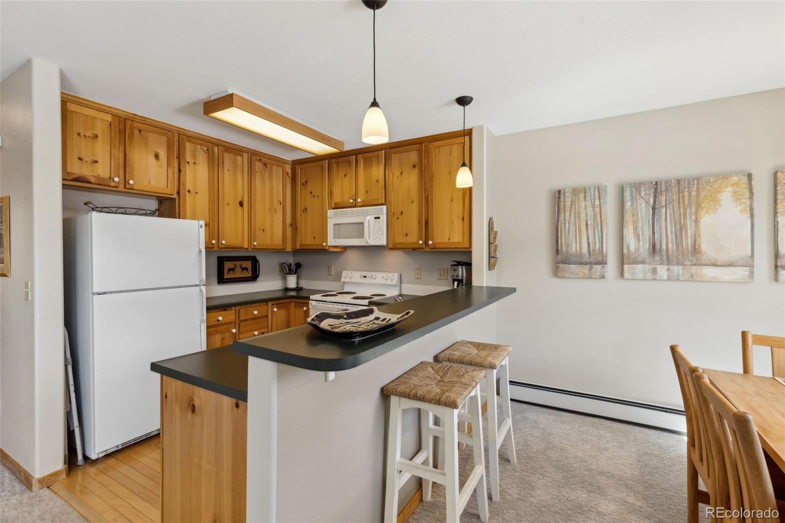 MLS Image #10 for 100  norse lane,keystone, Colorado