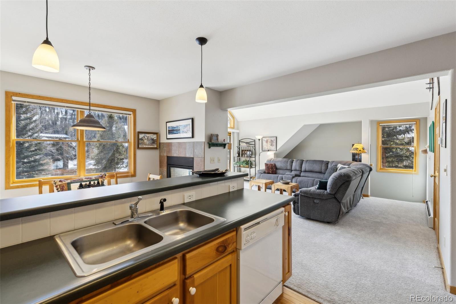 MLS Image #13 for 100  norse lane,keystone, Colorado