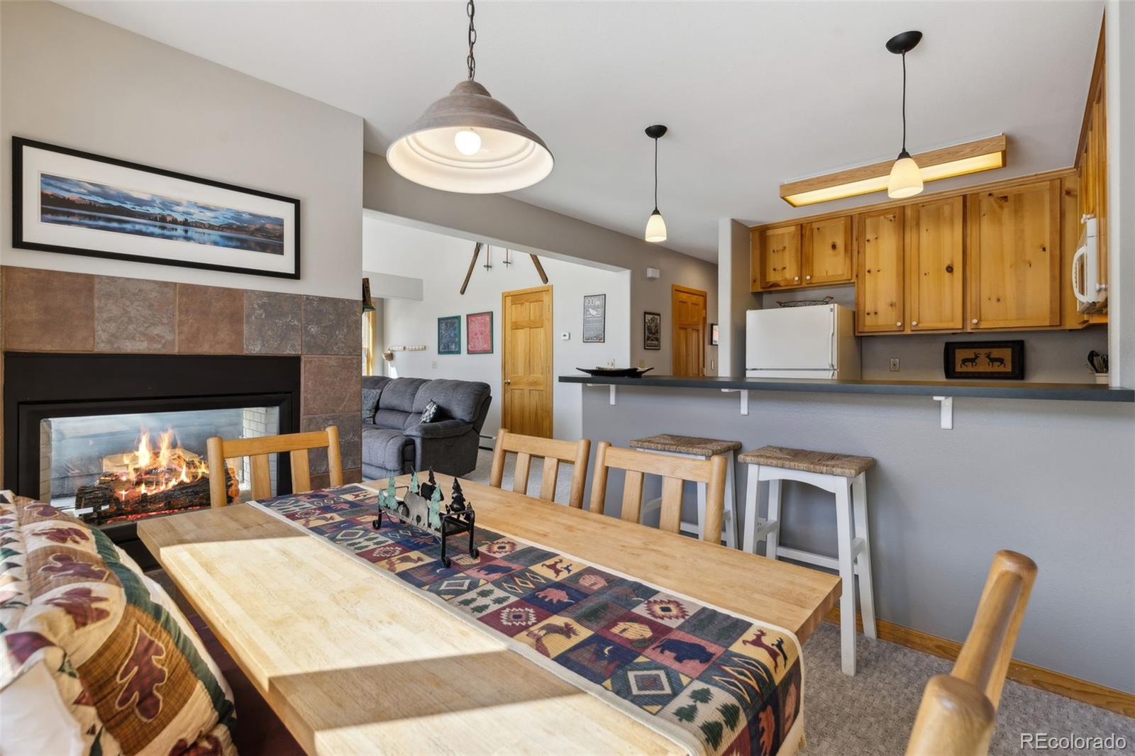 MLS Image #16 for 100  norse lane,keystone, Colorado