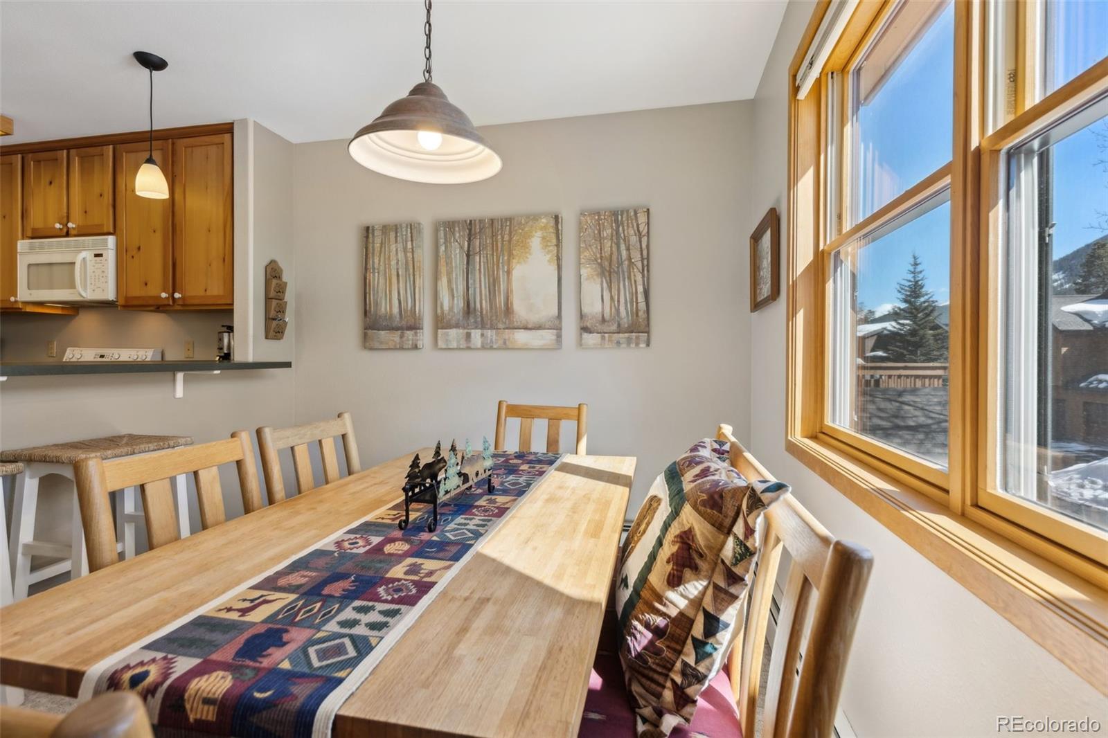 MLS Image #17 for 100  norse lane,keystone, Colorado