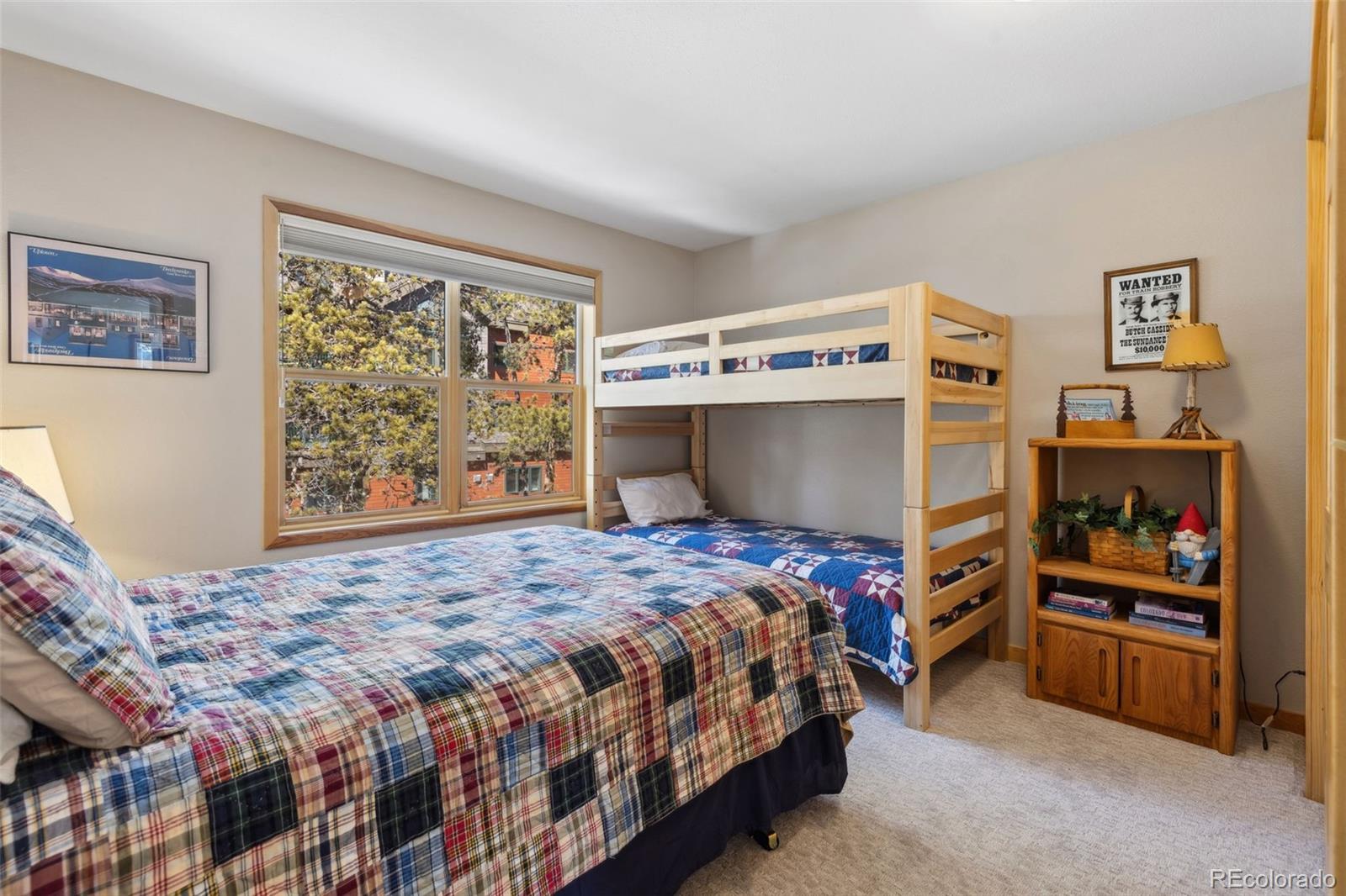 MLS Image #21 for 100  norse lane,keystone, Colorado
