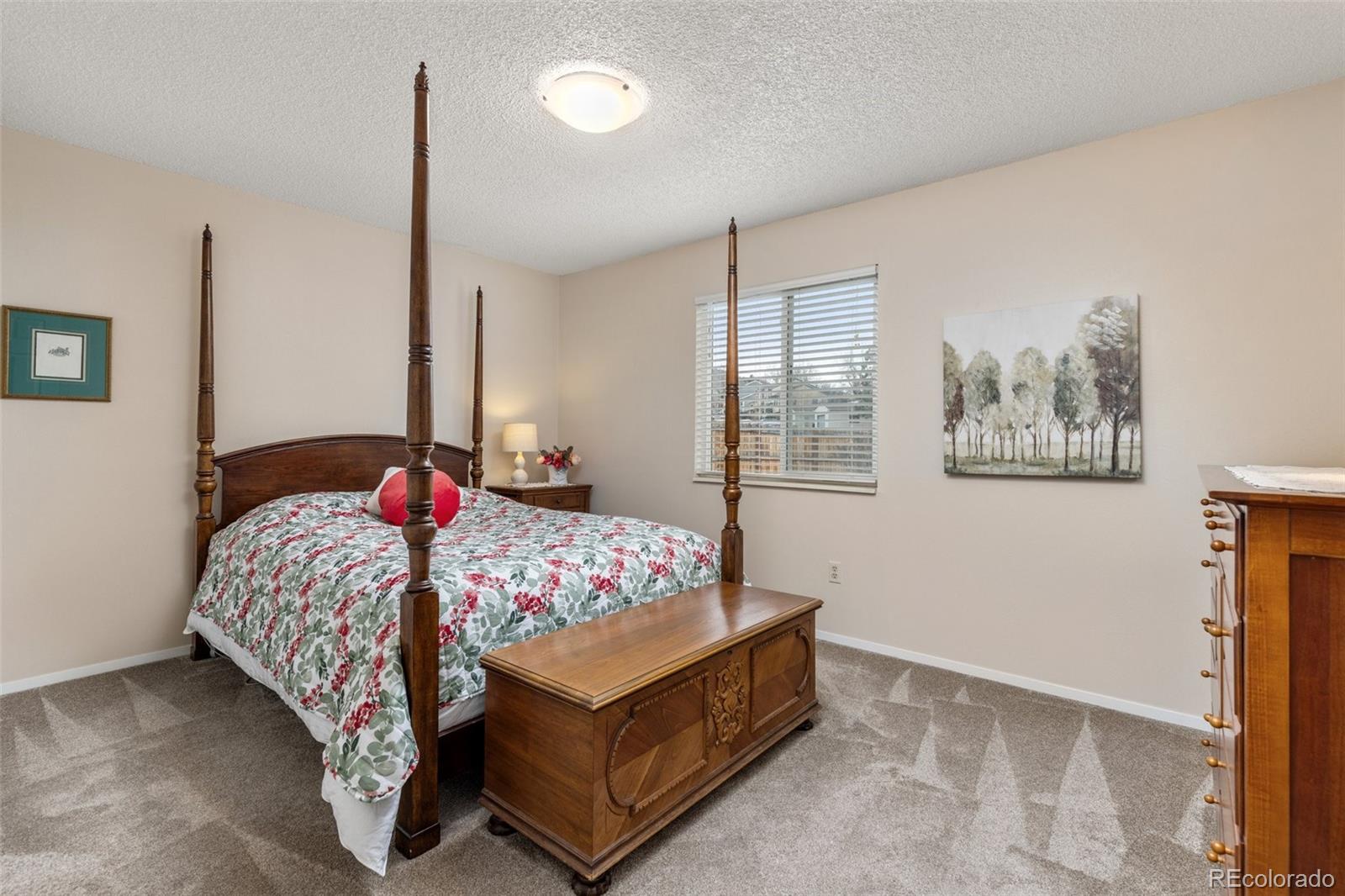MLS Image #8 for 1424 s sierra drive ,castle rock, Colorado
