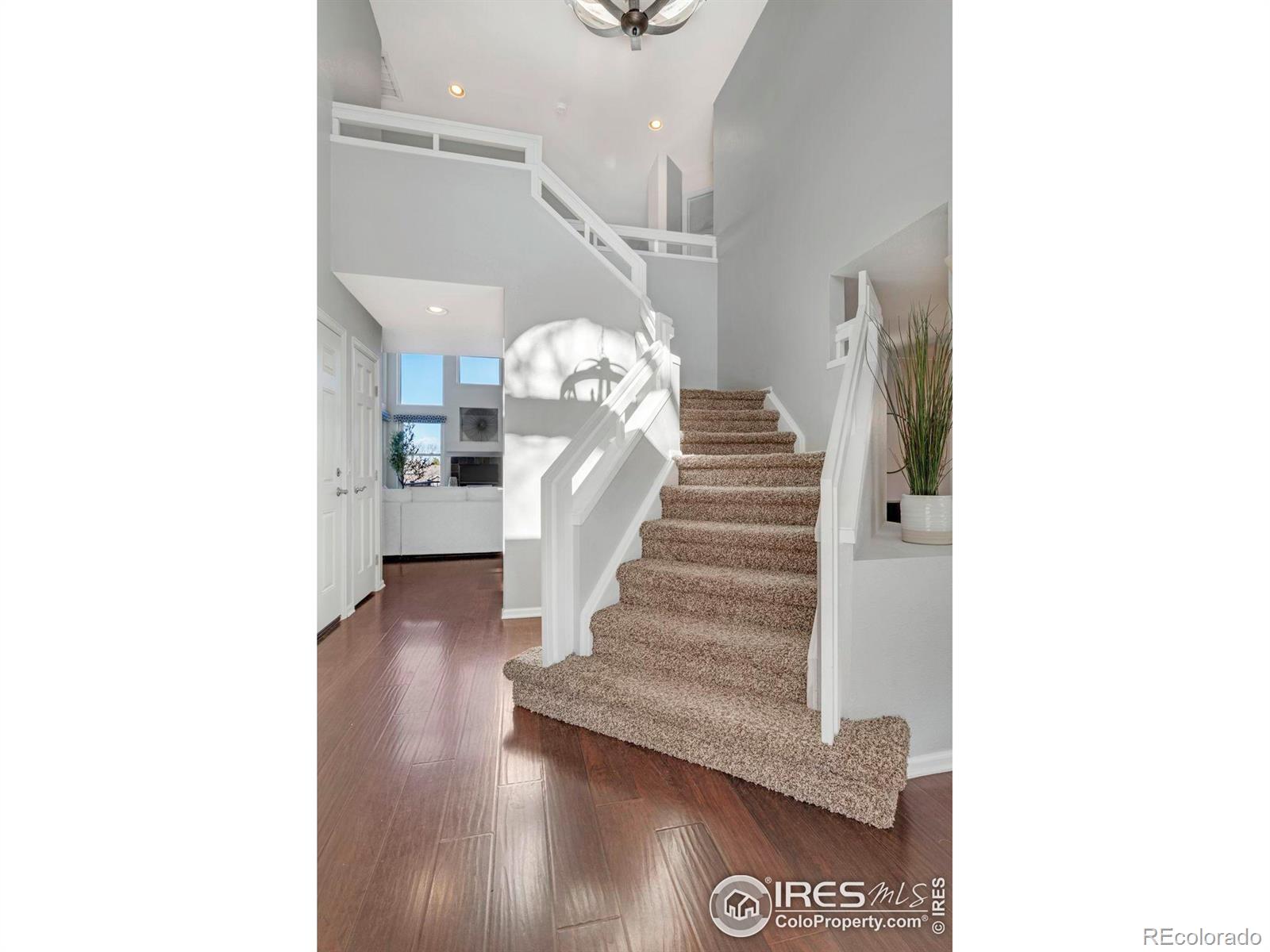 MLS Image #2 for 1625  adobe place,highlands ranch, Colorado