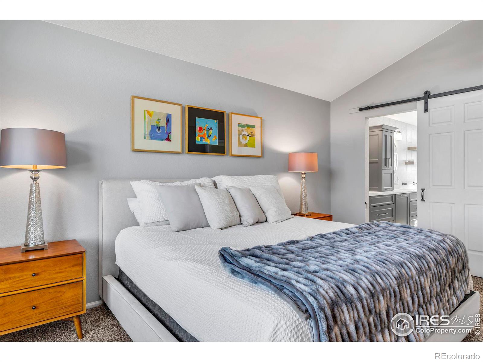 MLS Image #20 for 1625  adobe place,highlands ranch, Colorado