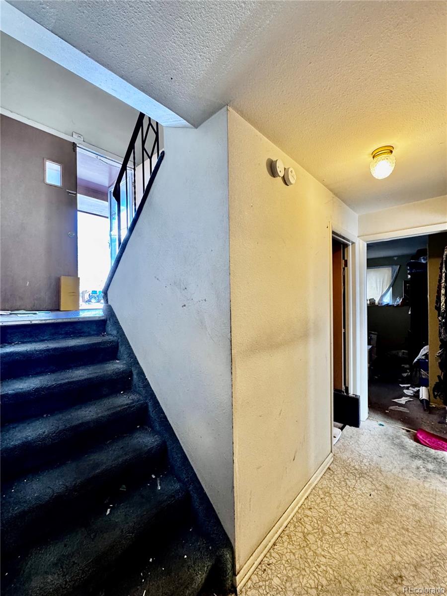 MLS Image #14 for 4435 e san miguel street,colorado springs, Colorado