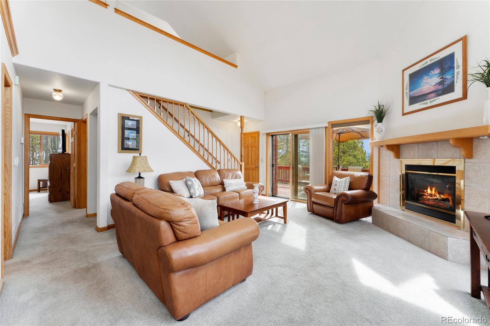 MLS Image #6 for 660  coyote circle,black hawk, Colorado