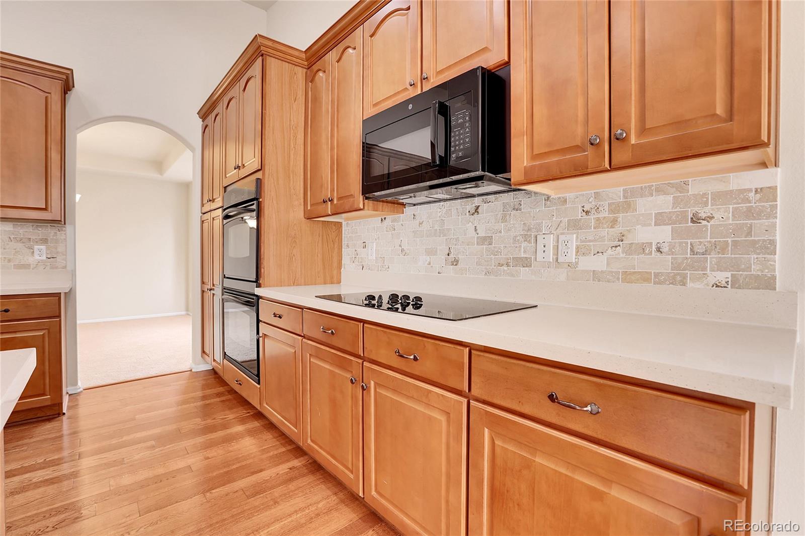 MLS Image #13 for 2342  bellavista street,castle rock, Colorado
