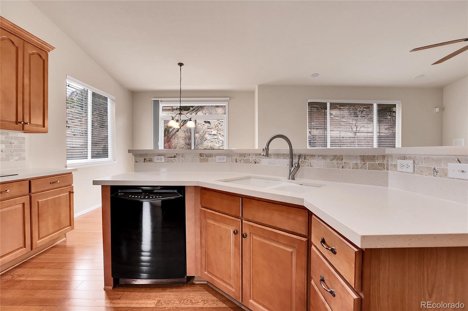 MLS Image #15 for 2342  bellavista street,castle rock, Colorado
