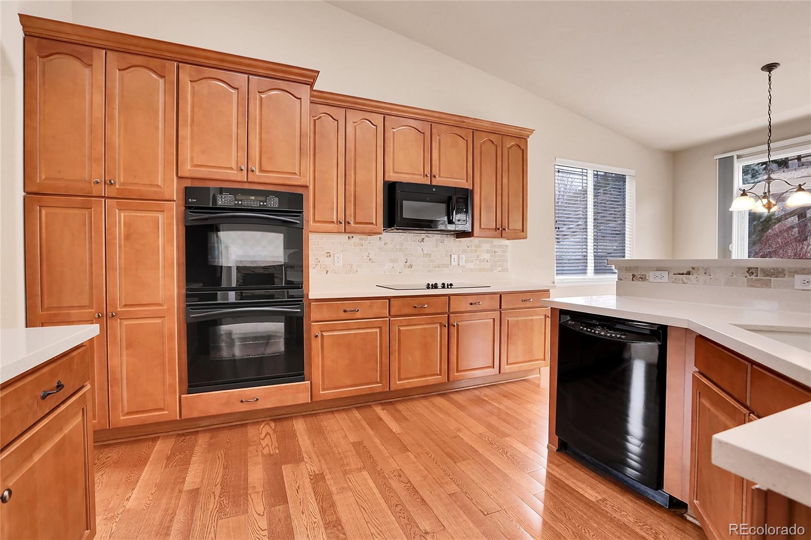 MLS Image #16 for 2342  bellavista street,castle rock, Colorado