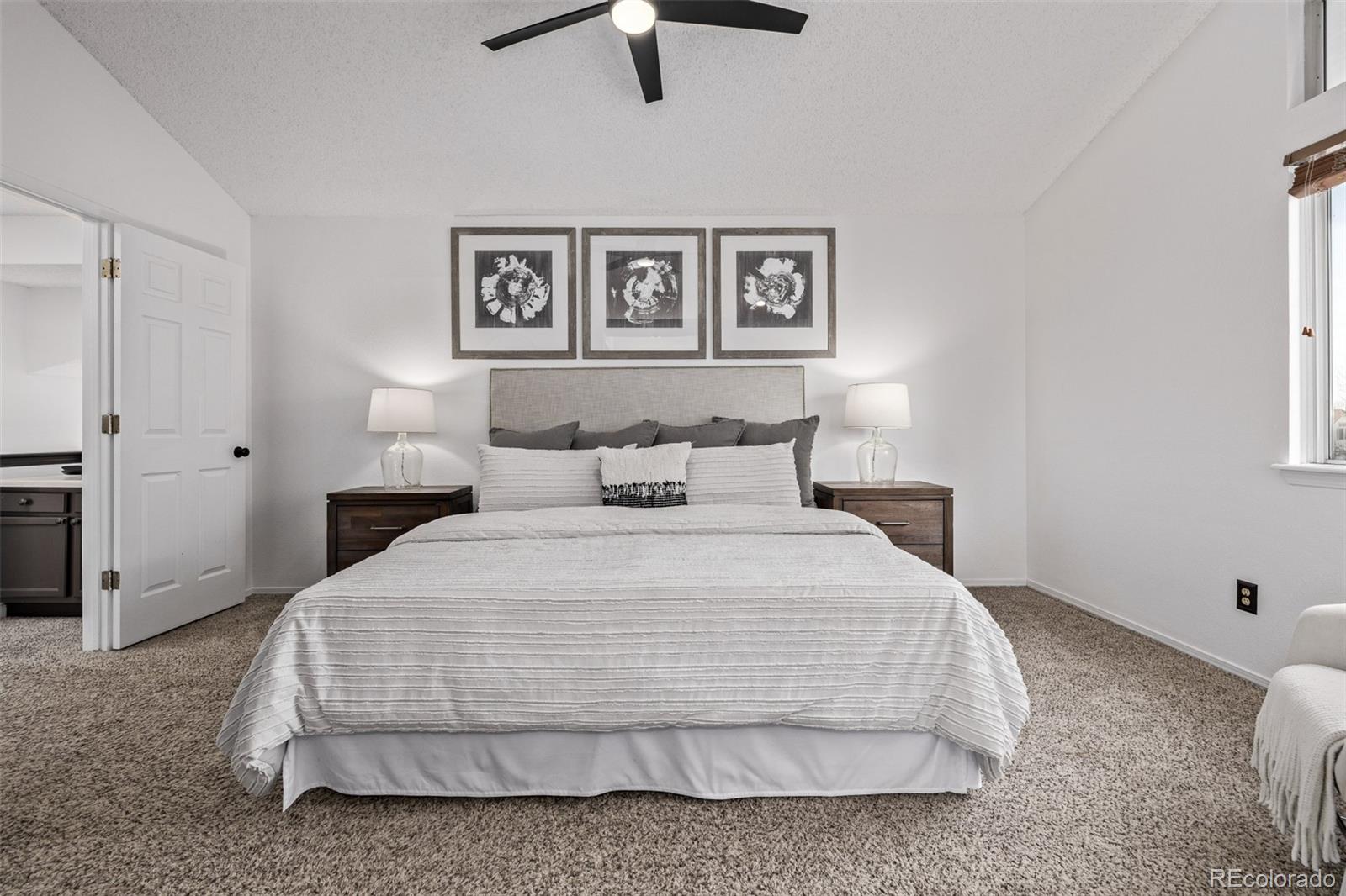 MLS Image #22 for 7586  halleys drive,littleton, Colorado