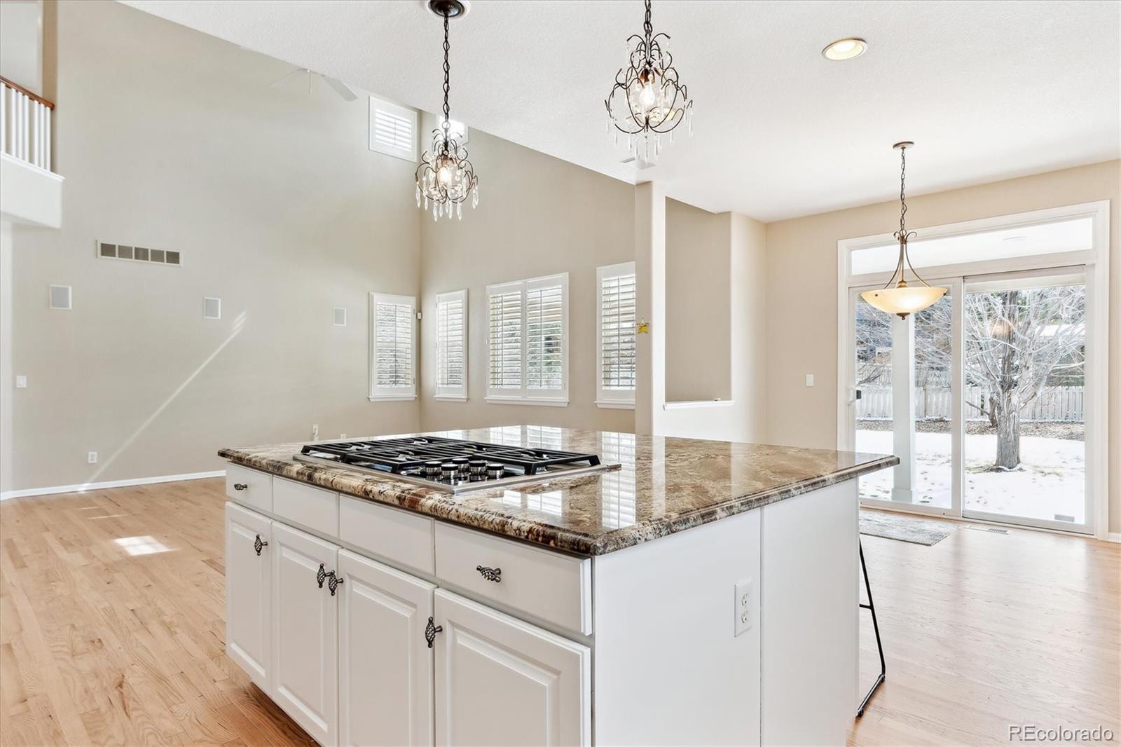 MLS Image #12 for 3480  spruce dell court,castle rock, Colorado