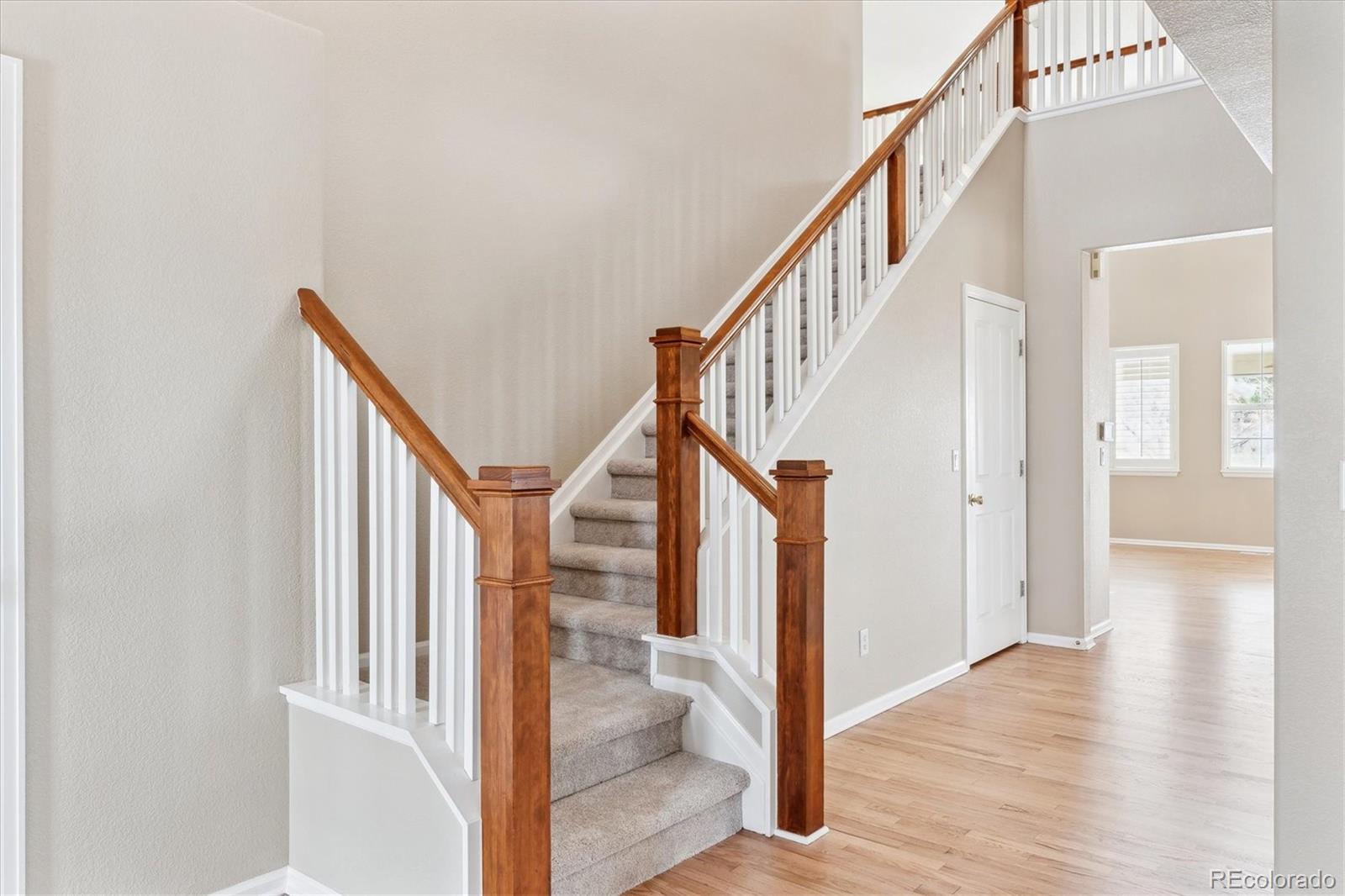 MLS Image #21 for 3480  spruce dell court,castle rock, Colorado