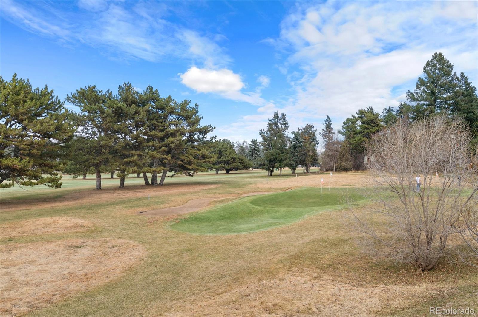 MLS Image #33 for 4625 w 50th avenue,denver, Colorado