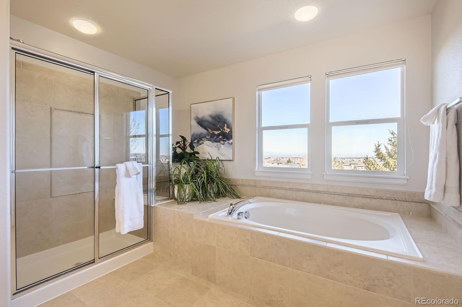 MLS Image #23 for 10726  amesbury way,highlands ranch, Colorado