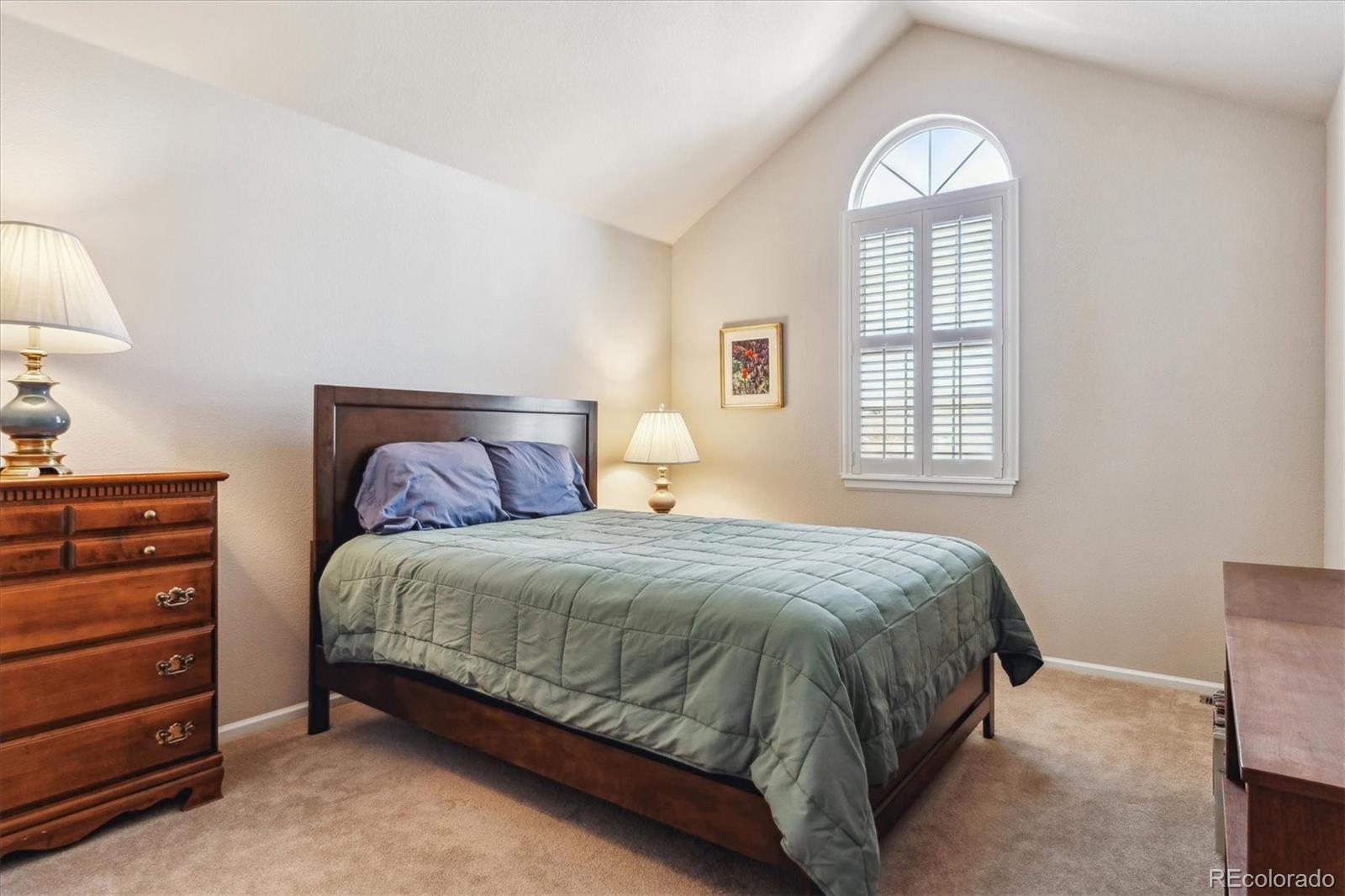MLS Image #13 for 6237  trailhead road,highlands ranch, Colorado