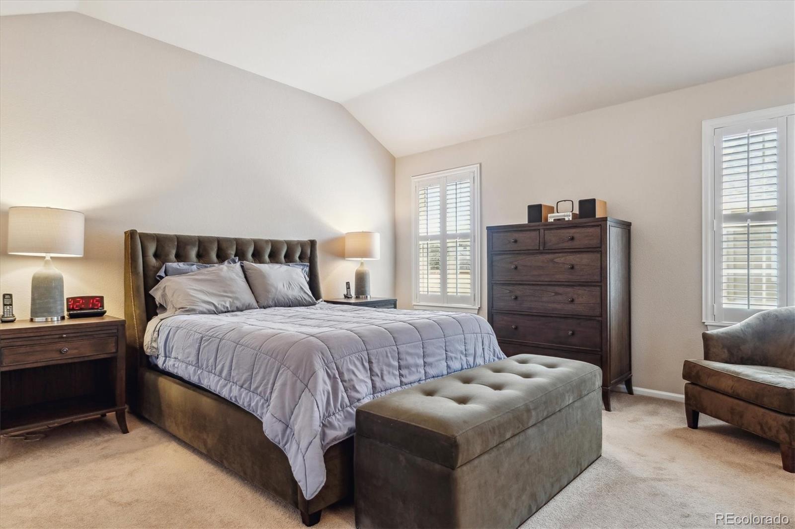 MLS Image #15 for 6237  trailhead road,highlands ranch, Colorado
