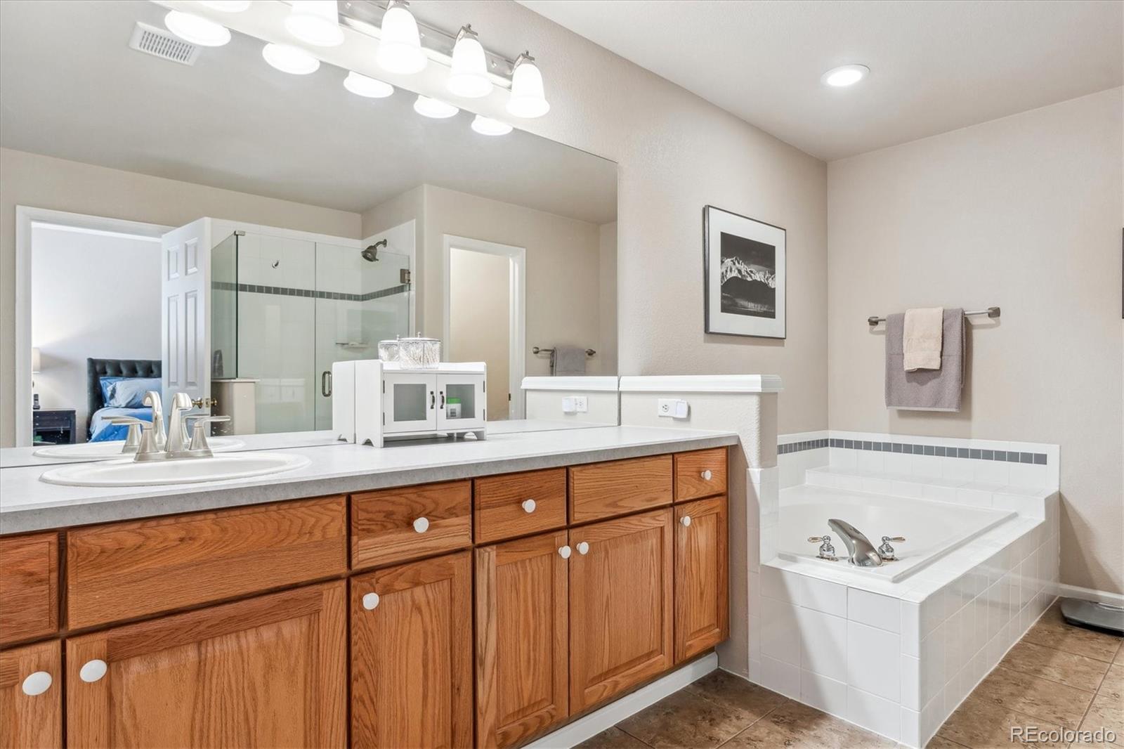 MLS Image #16 for 6237  trailhead road,highlands ranch, Colorado