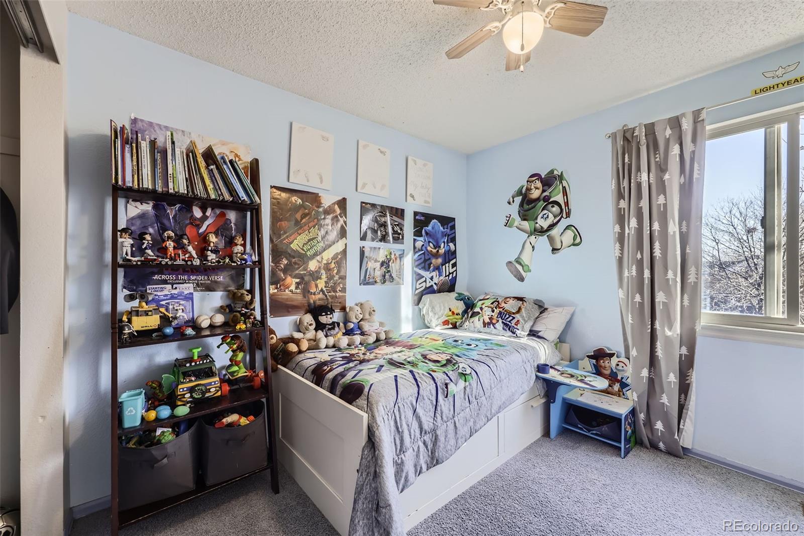 MLS Image #19 for 2482  purcell place,brighton, Colorado