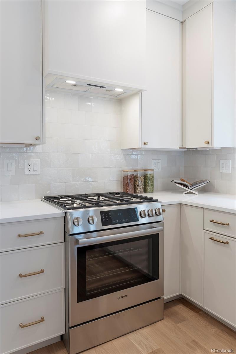 MLS Image #9 for 764 s corona street,denver, Colorado