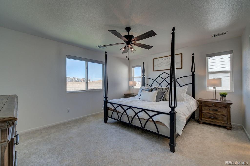 MLS Image #21 for 5426  wagon hammer drive,colorado springs, Colorado