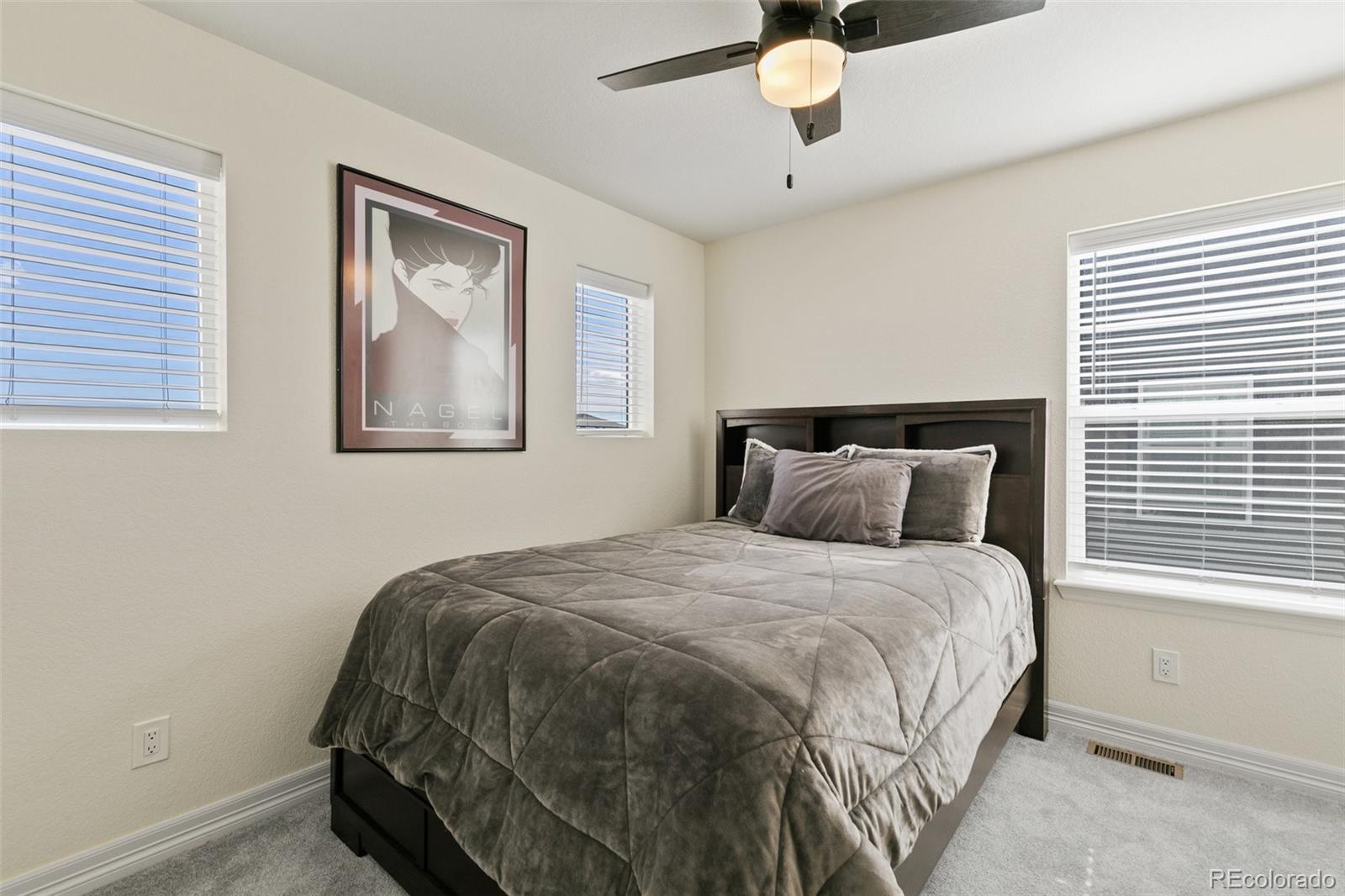 MLS Image #17 for 1745  rose quartz heights,colorado springs, Colorado