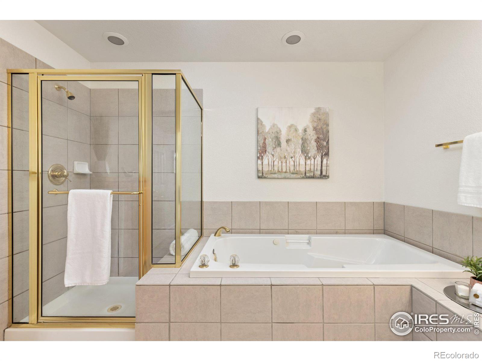 MLS Image #28 for 1333  charles drive,longmont, Colorado