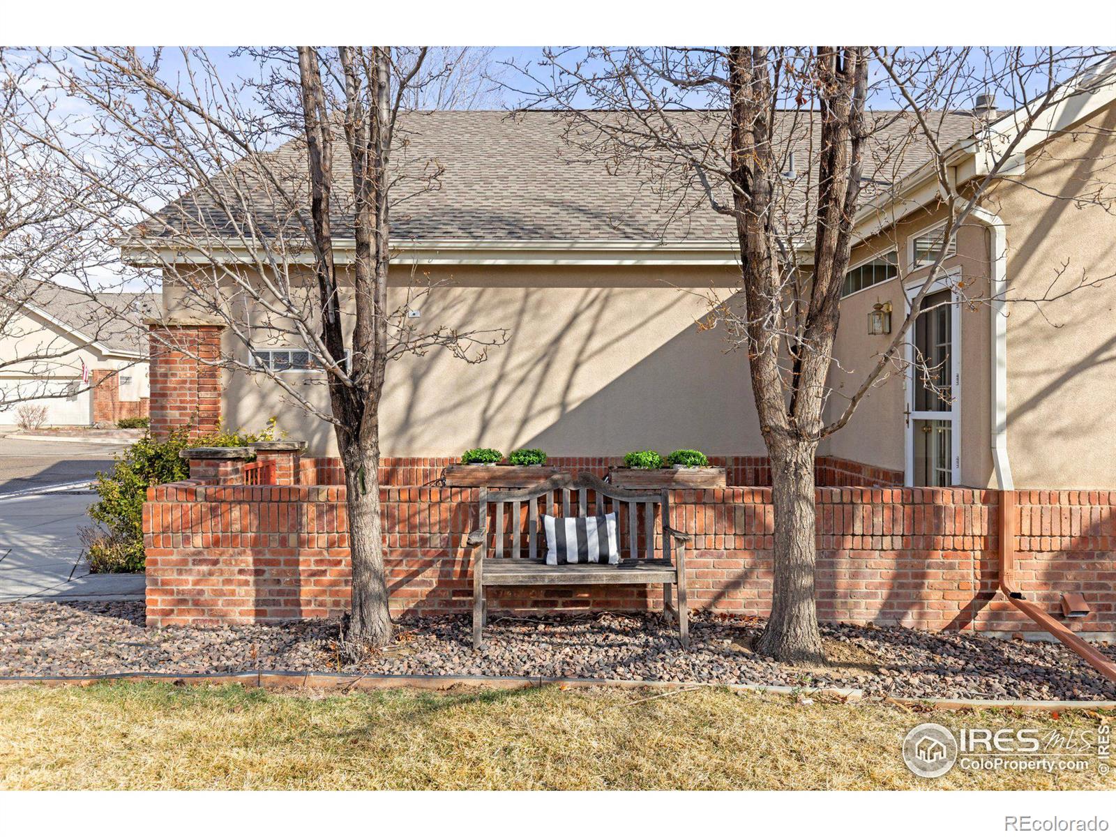 MLS Image #5 for 1333  charles drive,longmont, Colorado